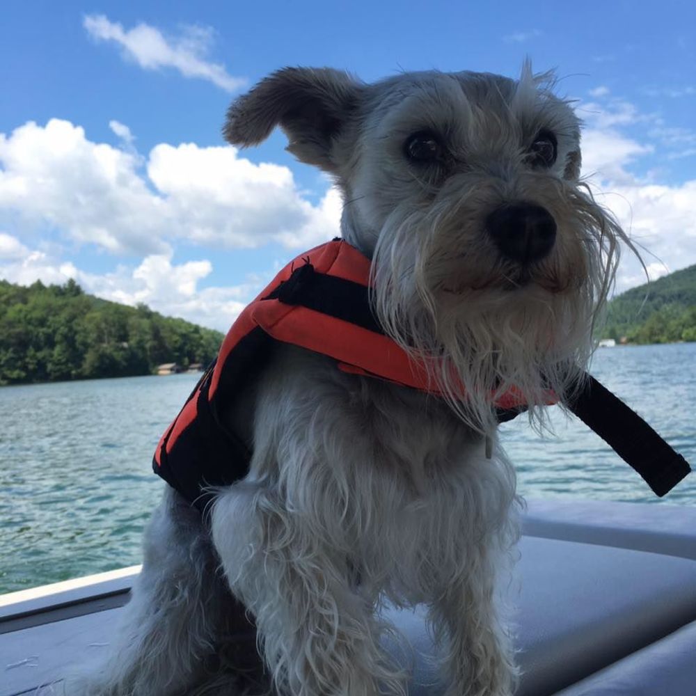 Meet your Posher, Sophie